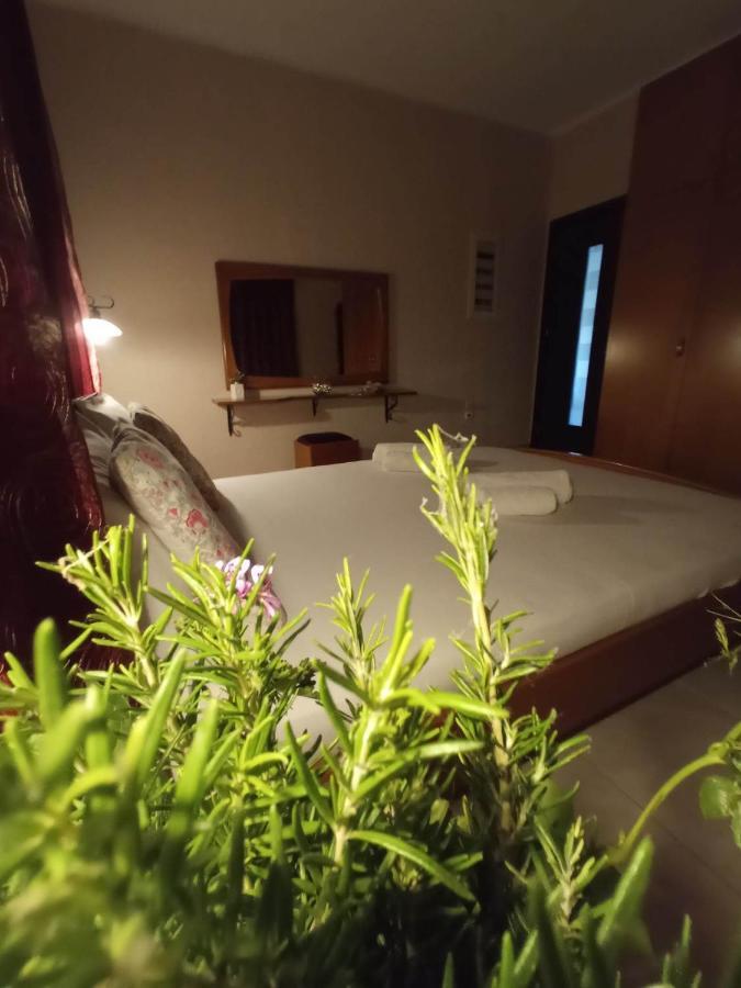 Villa Erasmia Dekarcho Экстерьер фото